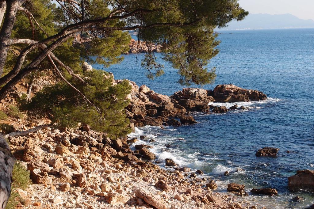 Au Coeur De La Ville Bandol Eksteriør bilde